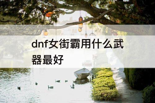 dnf女街霸用什么武器最好
