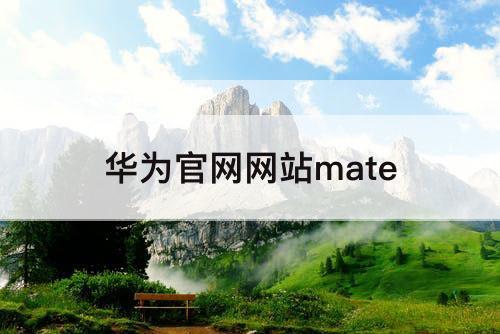 华为官网网站mate