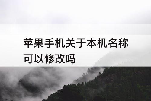 苹果手机关于本机名称可以修改吗