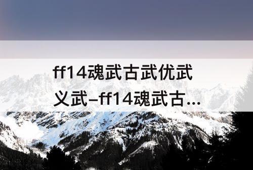 ff14魂武古武优武义武-ff14魂武古武优武义武可以代刷吗