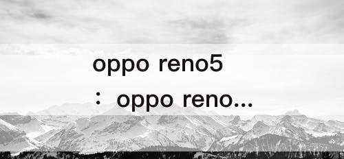 oppo reno5：oppo reno5 pro+配置