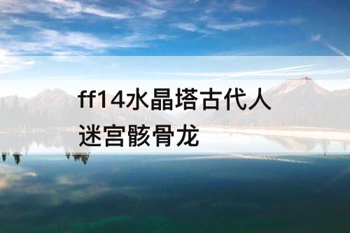 ff14水晶塔古代人迷宫骸骨龙