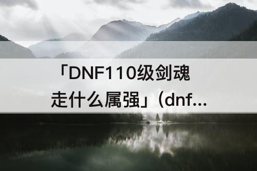 「DNF110级剑魂走什么属强」(dnf110级剑魂走什么属强好)