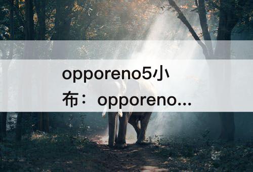opporeno5小布：opporeno5小布助手