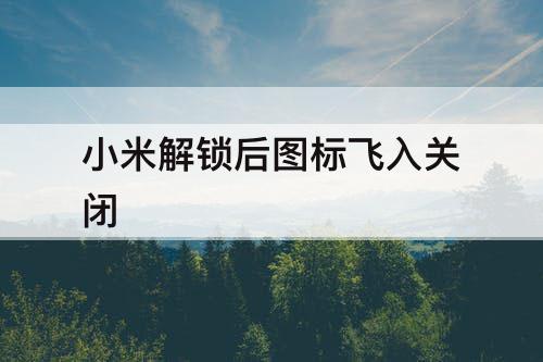 小米解锁后图标飞入关闭