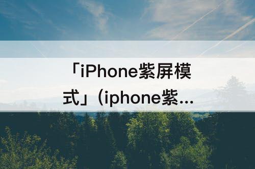 「iPhone紫屏模式」(iphone紫屏模式改串号)