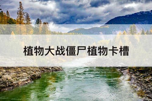 植物大战僵尸植物卡槽
