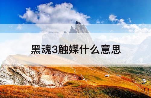 黑魂3触媒什么意思