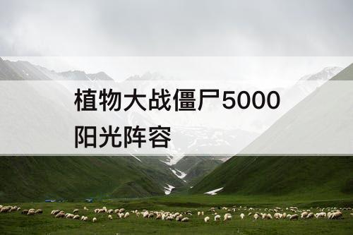 植物大战僵尸5000阳光阵容
