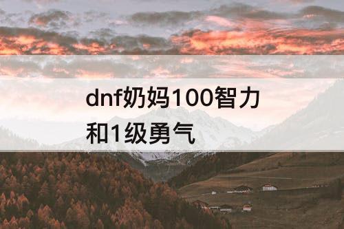 dnf奶妈100智力和1级勇气