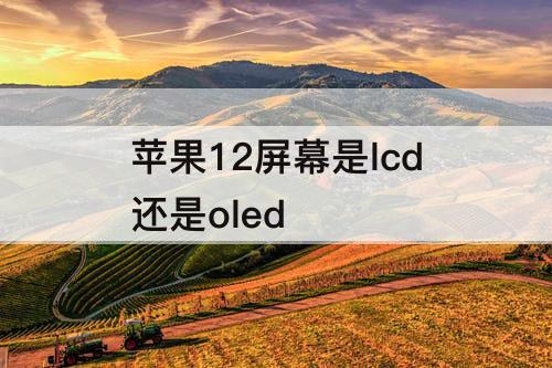 苹果12屏幕是lcd还是oled