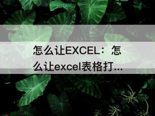 怎么让EXCEL：怎么让excel表格打印出来铺满a4纸