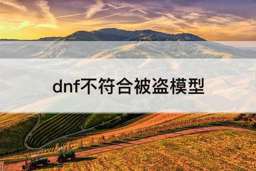 dnf不符合被盗模型