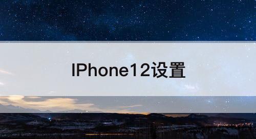 IPhone12设置