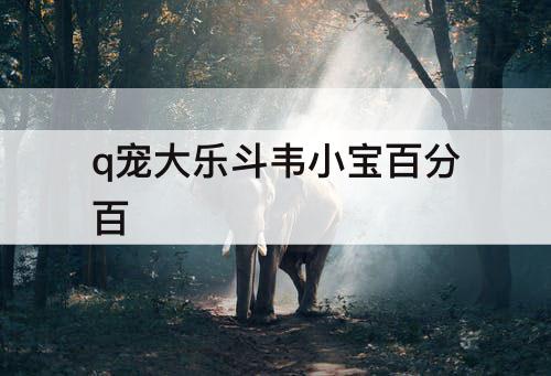 q宠大乐斗韦小宝百分百