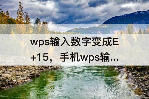 wps输入数字变成E+15，手机wps输入数字变成E+15