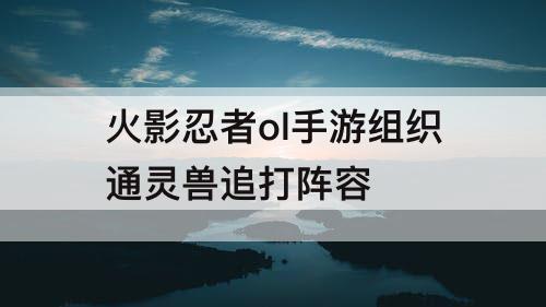 火影忍者ol手游组织通灵兽追打阵容