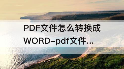 PDF文件怎么转换成WORD-pdf文件怎么转换成word文档编辑