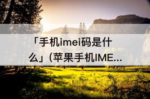 「手机imei码是什么」(苹果手机IMEI码是什么)