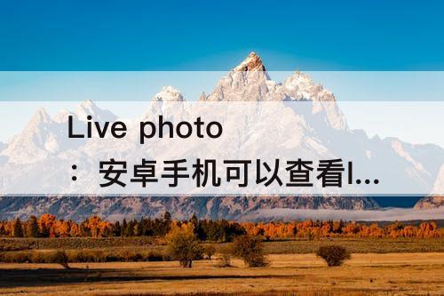 Live photo：安卓手机可以查看live photo吗