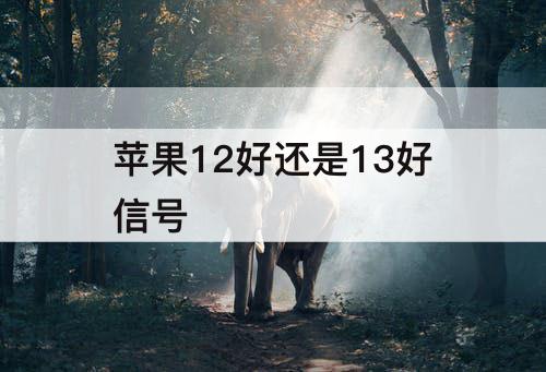 苹果12好还是13好信号