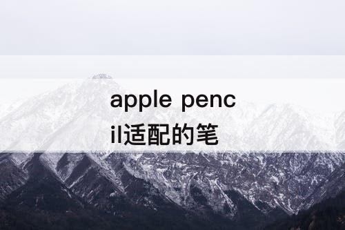 apple pencil适配的笔