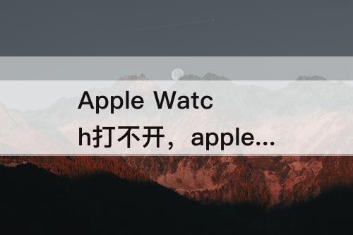 Apple Watch打不开，apple watch打不开微信