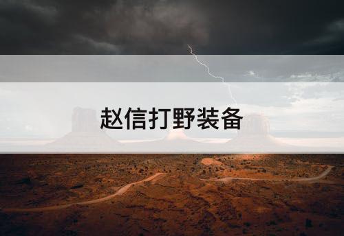 赵信打野装备