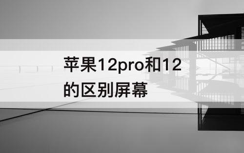 苹果12pro和12的区别屏幕