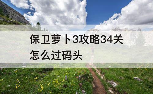 保卫萝卜3攻略34关怎么过码头