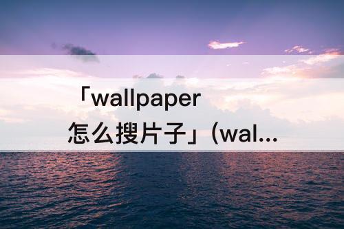 「wallpaper怎么搜片子」(wallpaper怎么搜片子代码)
