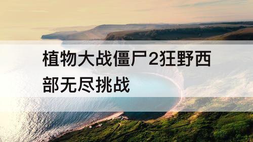 植物大战僵尸2狂野西部无尽挑战