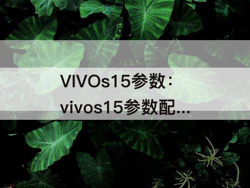 VIVOs15参数：vivos15参数配置详细参数