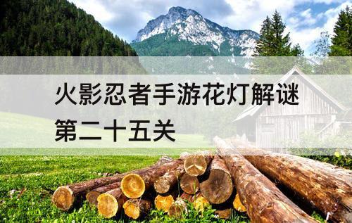 火影忍者手游花灯解谜第二十五关