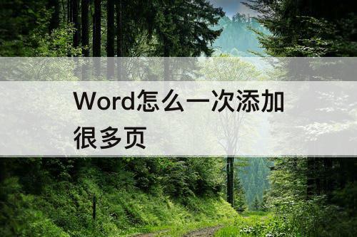 Word怎么一次添加很多页