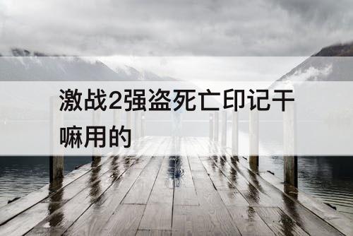 激战2强盗死亡印记干嘛用的