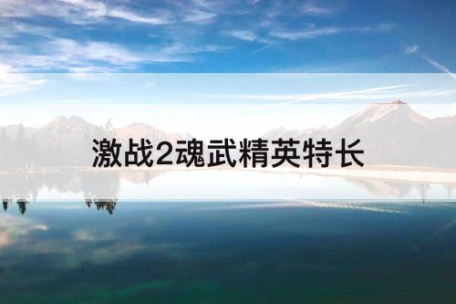 激战2魂武精英特长