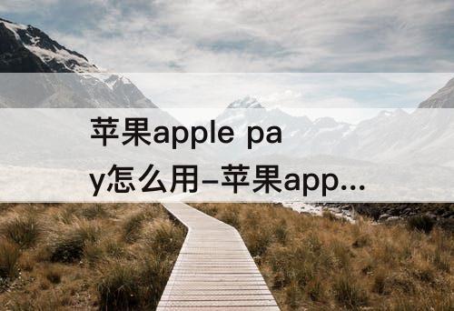 苹果apple pay怎么用-苹果apple pay怎么用地铁