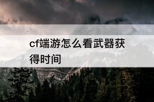 cf端游怎么看武器获得时间