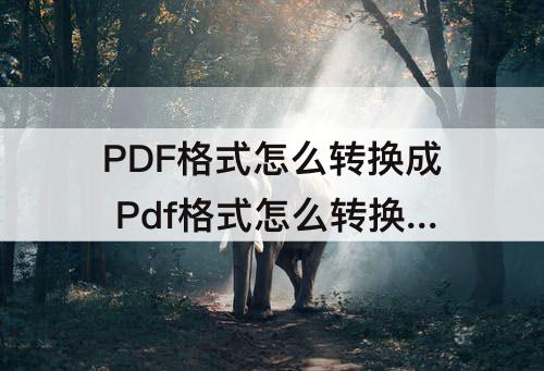 PDF格式怎么转换成 Pdf格式怎么转换成word