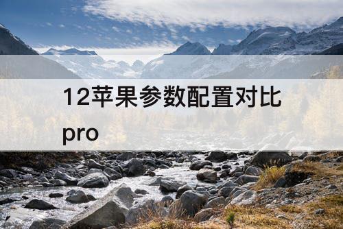 12苹果参数配置对比pro