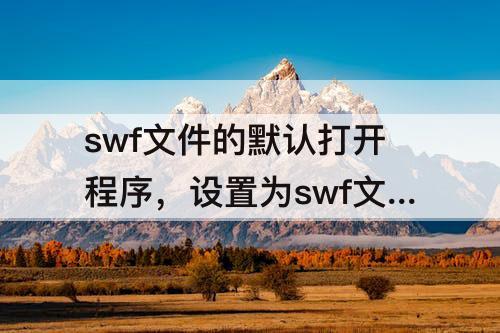 swf文件的默认打开程序，设置为swf文件的默认打开程序