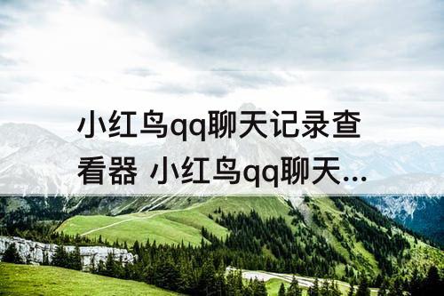 小红鸟qq聊天记录查看器 小红鸟qq聊天记录查看器是真的吗
