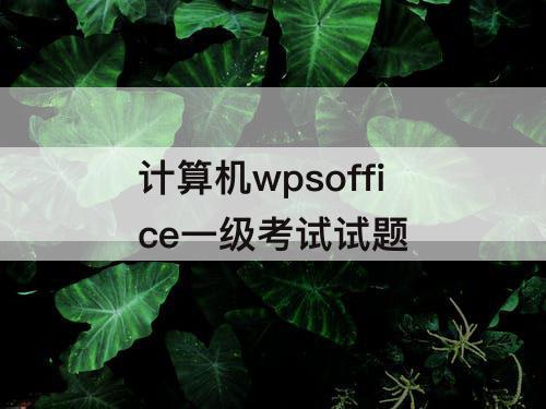 计算机wpsoffice一级考试试题