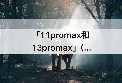 「11promax和13promax」(11promax和13promax一样吗)