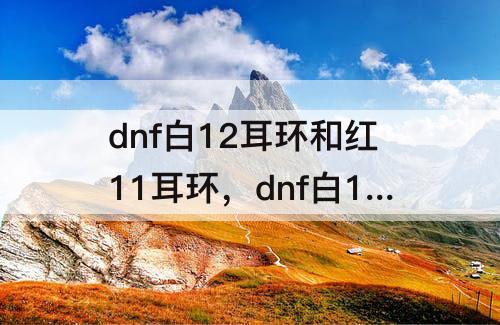 dnf白12耳环和红11耳环，dnf白12耳环和红11耳环名望