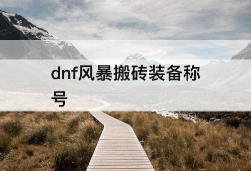 dnf风暴搬砖装备称号
