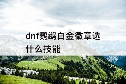 dnf鹦鹉白金徽章选什么技能