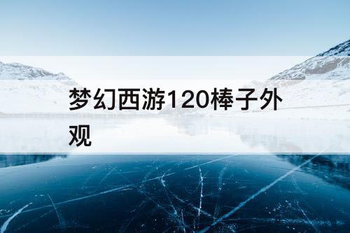 梦幻西游120棒子外观