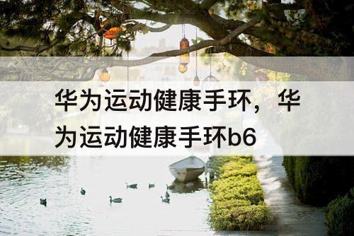 华为运动健康手环，华为运动健康手环b6